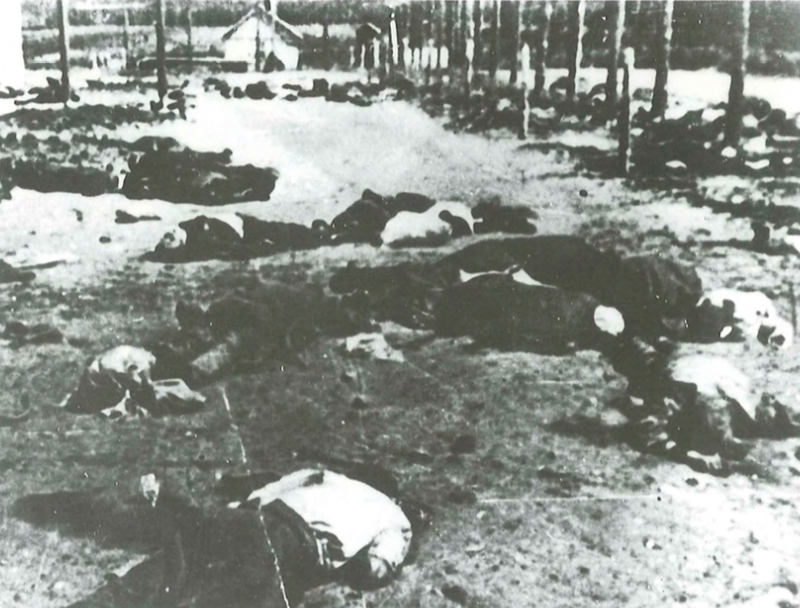 Jasenovac / FOTO: www.antifasisticki-vjesnik.org