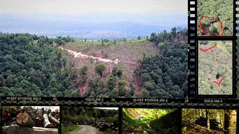 krađa šume na području Banjaluke