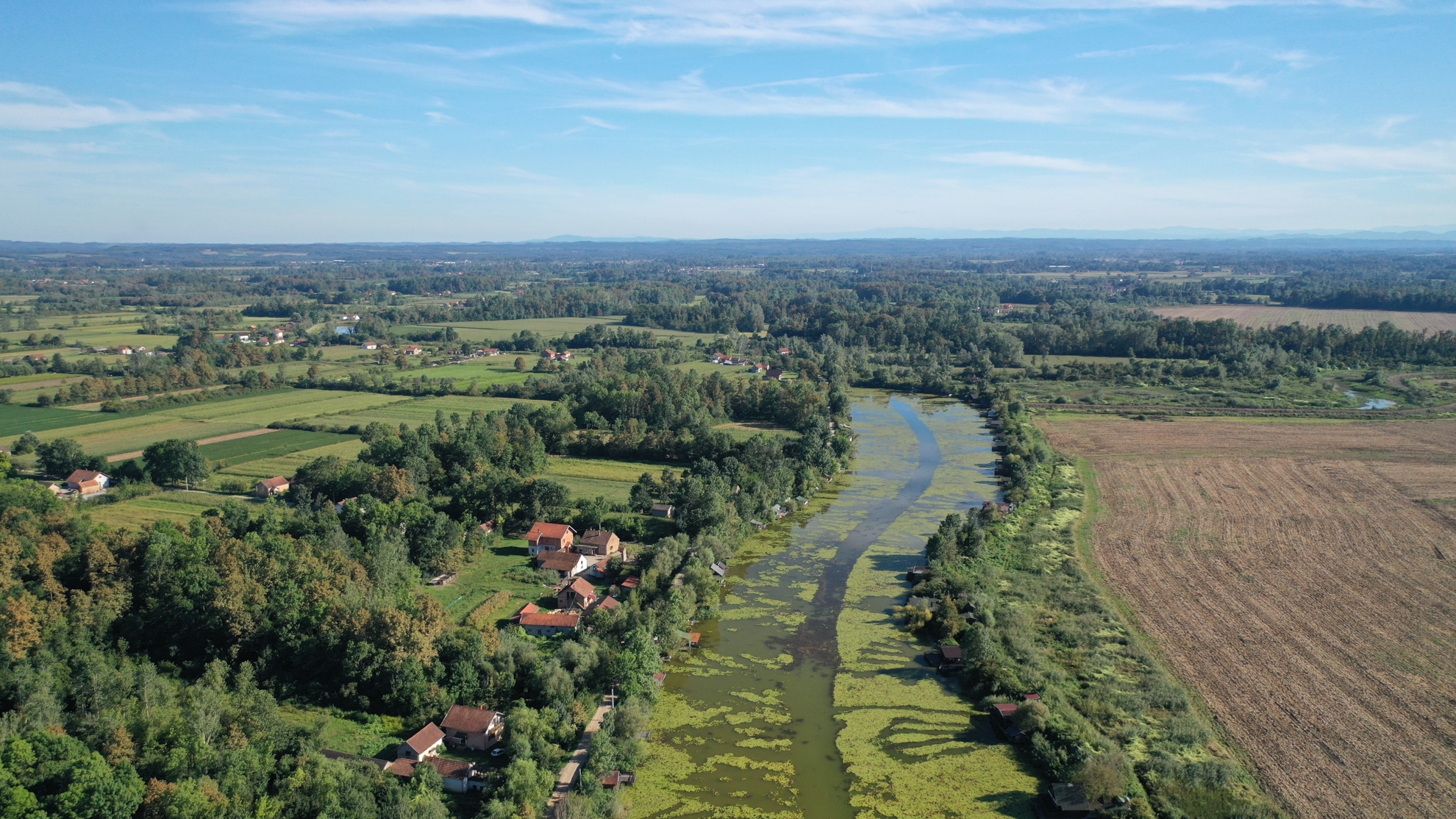 Bardača / FOTO: Dejan Rakita