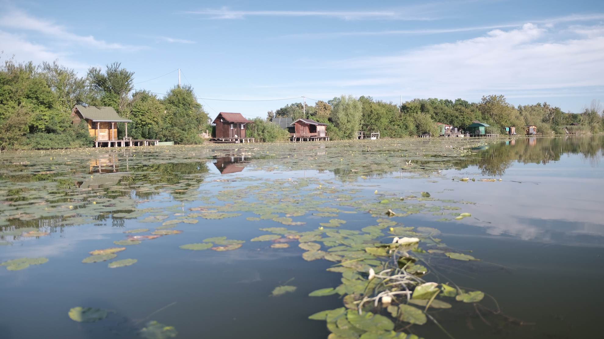 Bardača / FOTO: Dejan Rakita